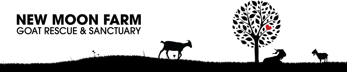 New Moon Farm - New Moon Farm Goat Rescue And Sanctuary (1200x250), Png Download