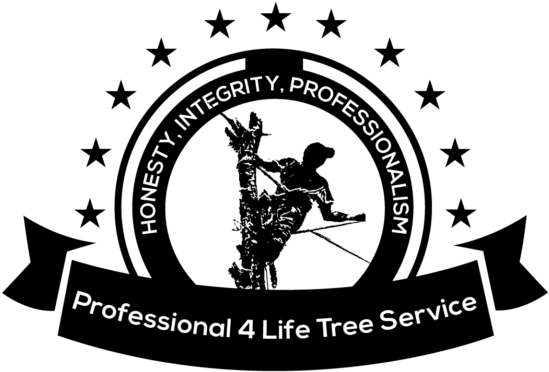 Professional 4 Life Tree Services Company Tyler, Tx - Professional 4 Life Company (1024x597), Png Download