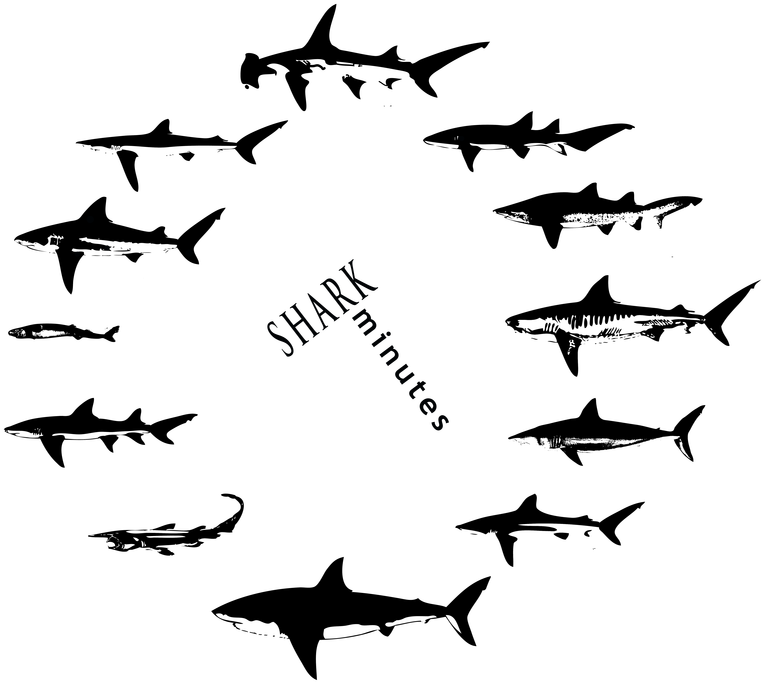 The Updated Shark Minutes Logo And T-shirts Are Here - Jaws (839x800), Png Download