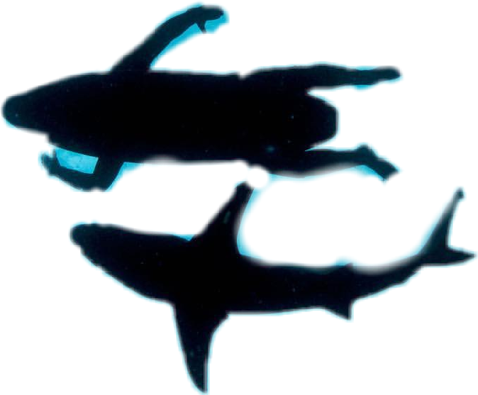 Winner Wildlife Photographer Of The Year 2016 (674x557), Png Download