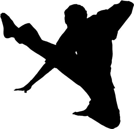 Martial Arts Silhouette Png (477x467), Png Download