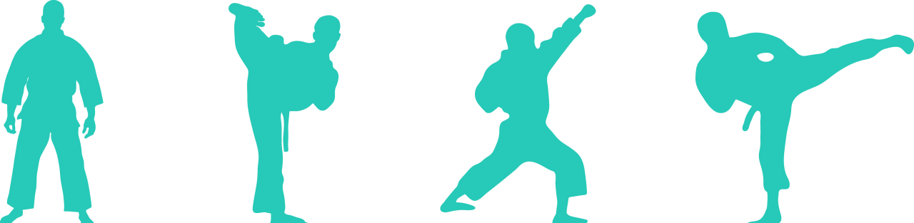 People Around The World Practice Karate - Kung Fu (1280x313), Png Download