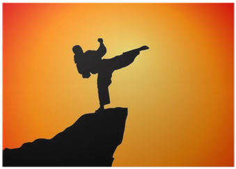 Woman Karate In The Sunset, Silhouette Poster • Pixers® - 1 Martial Arts Bottlecap Necklace Party Favor Glitter (400x400), Png Download