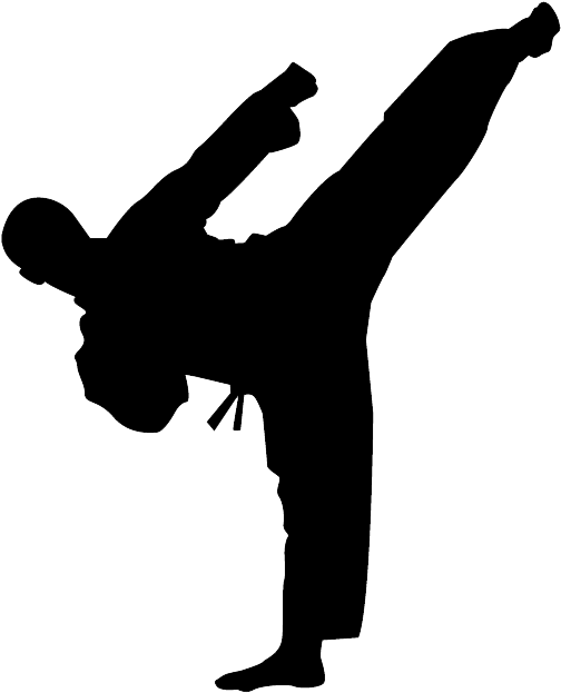 Karate Kick Png Photo - Karate Silhouette (503x641), Png Download