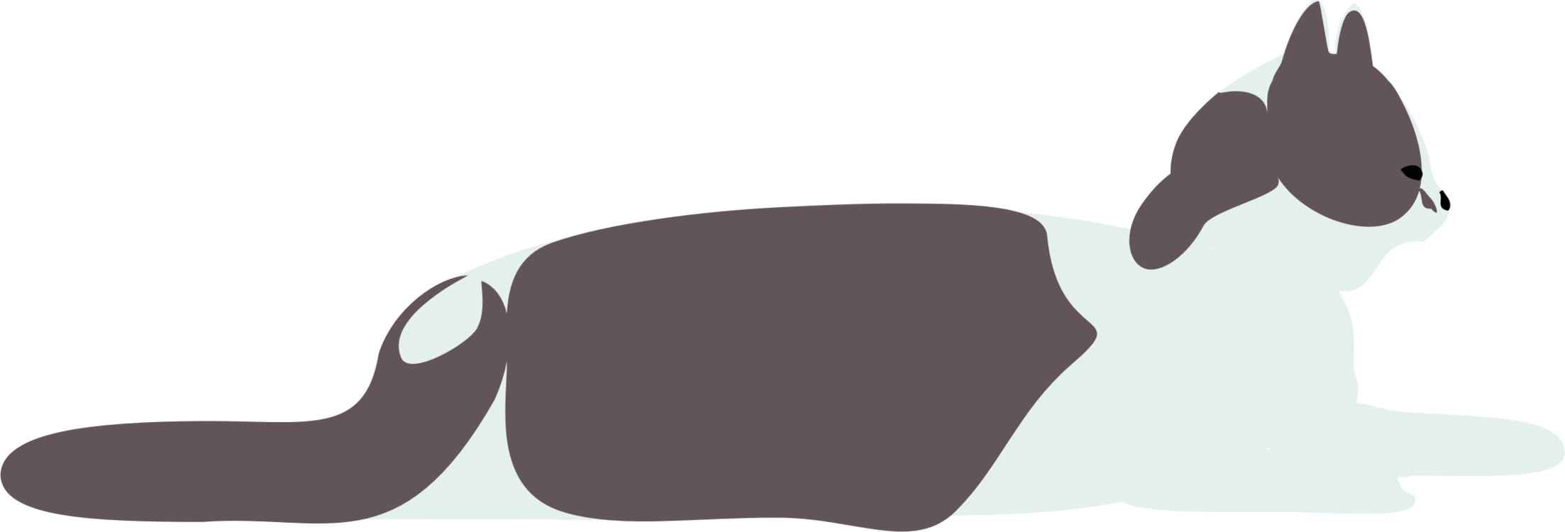 Whiskers Kitten Black Cat Tiger - Cat (2206x750), Png Download