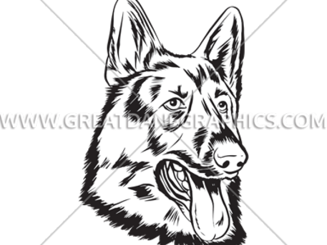 Drawn German Shepherd Face - German Shepherd (640x480), Png Download