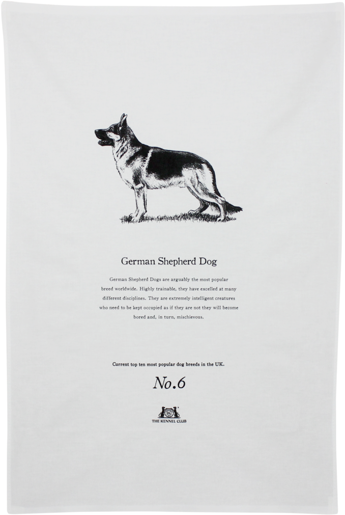 Official Crufts & Kennel Club Cushion German Shepherd (1024x1024), Png Download