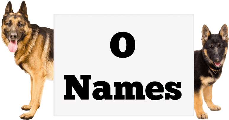 Girl Names - Quick And Easy Quinoa Recipes [book] (800x419), Png Download