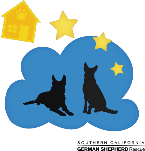 Scgsr Make A Doggie Wish Campaign - Black Cat (550x550), Png Download