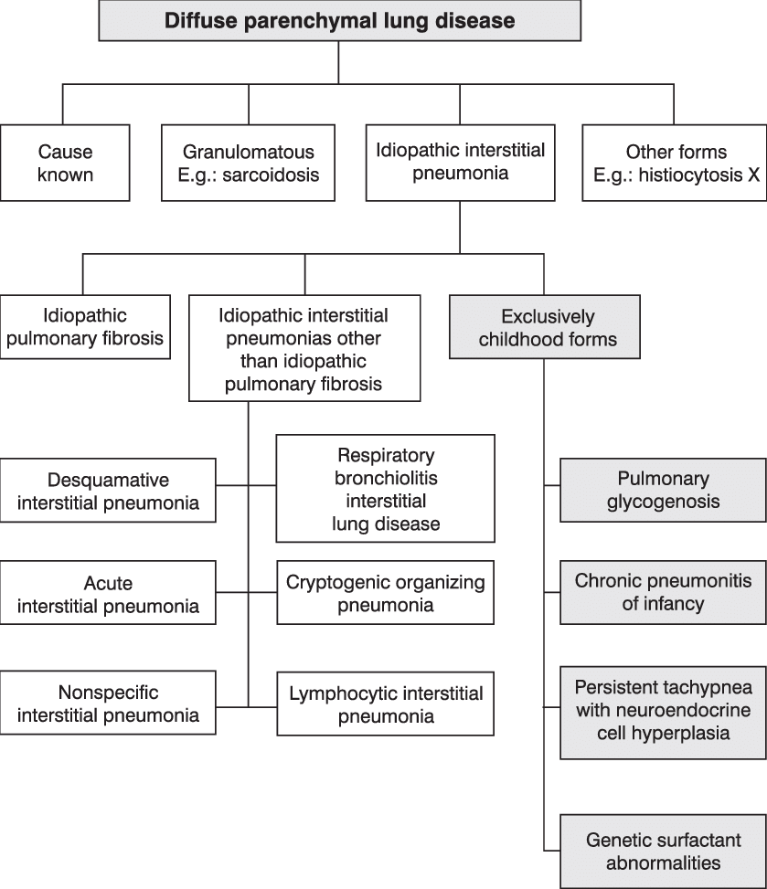 Consensus Of The American Thoracic Society/european - Colorfulness (839x973), Png Download