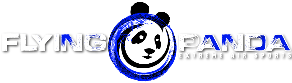 Download Transparent Flying Panda Logo - PNGkit