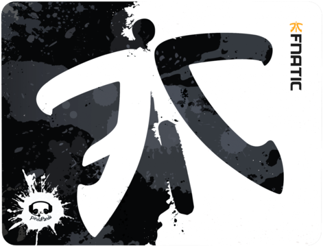 Fnatic Pinda Panda (600x450), Png Download