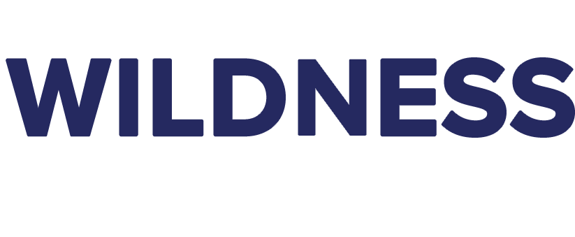 Creative Process (1170x423), Png Download