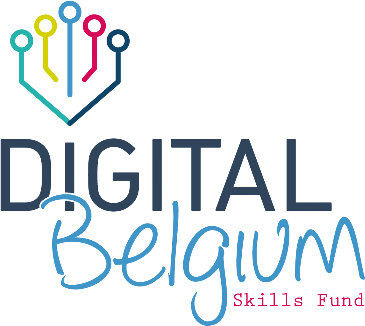 Dli Awarded By Digital Belgium Skills Fund - Digital Belgium Skills Fund (2000x1200), Png Download
