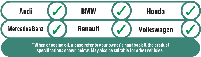 Castrol Magnatec 5w-30 A5 Is Suitable For Use In Automotive - Ford Recommends Castrol (701x212), Png Download