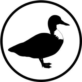 Duck Rowing - Duck For Logo Png (352x352), Png Download