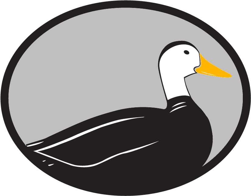 Logo Logo Logo Logo Logo - Cygnini (950x668), Png Download