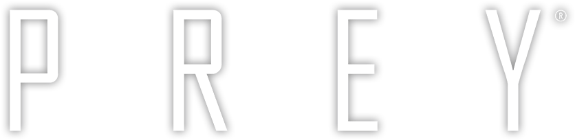 Previous - Graphics (1024x315), Png Download