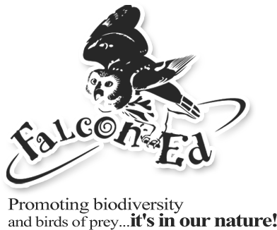 Faucon-éduc - Logo Birds Of Prey (422x351), Png Download