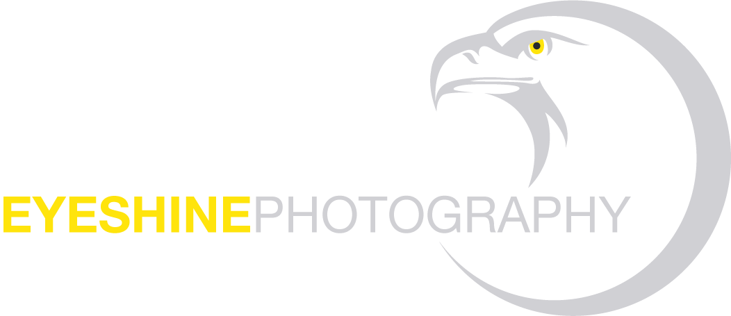 Concrete Petrography: A Handbook Of Investigative Techniques, (1052x455), Png Download