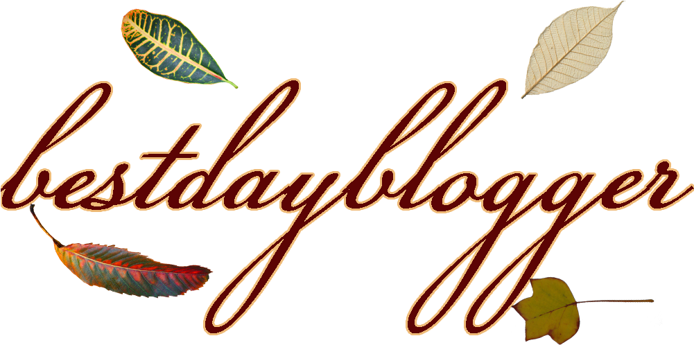 Bestdayblogger Fall Banner - Logo (1000x506), Png Download