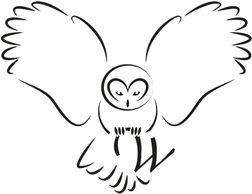 Willows Bird Of Prey Centre - Simple Drawings Of Owls (400x300), Png Download