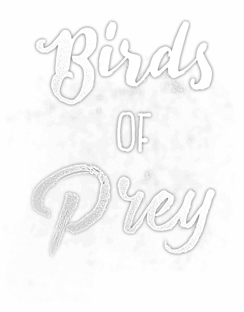 Meet Farmer Ted's Birds Of Prey - Birds Of Prey (798x1021), Png Download