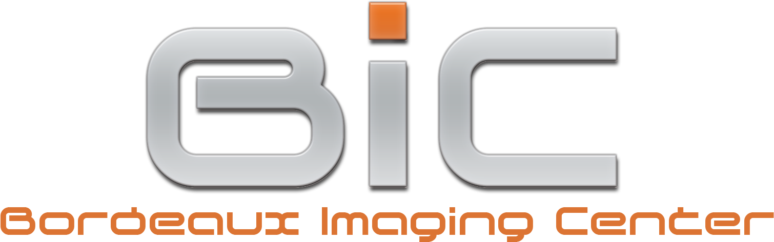 Logo Bic - Orange (1580x568), Png Download