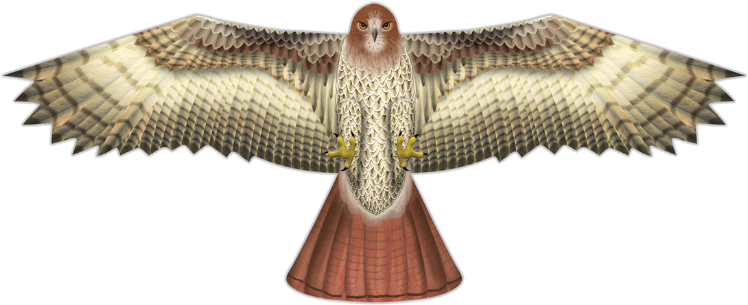Hawk Supersize Bird Of Prey Nylon Kite 70" By Windnsun - X Kites Birds Of Prey Kite 48" Hawk (1280x702), Png Download