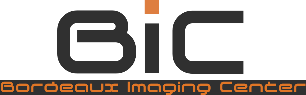 Logo Logo Logo Logo Logo - Logo (1245x388), Png Download