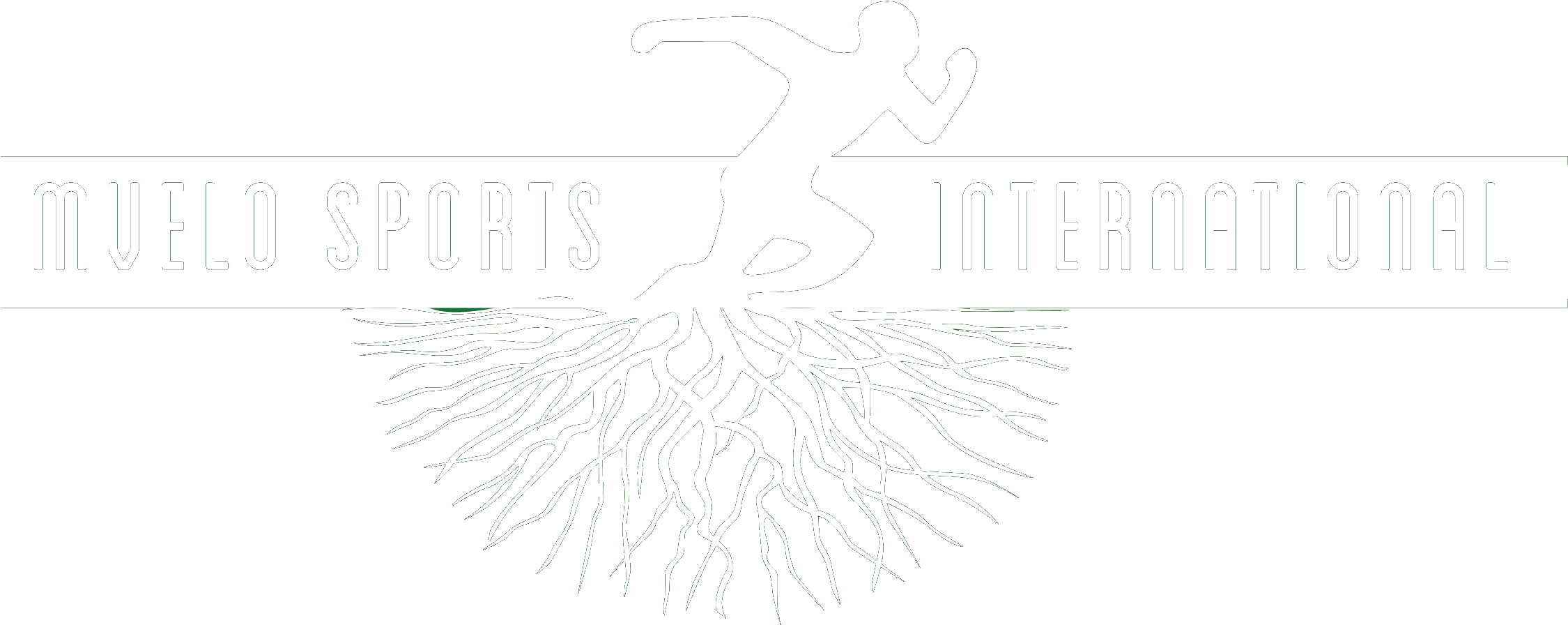 Msi Academy - Track And Field Athletics (2319x1034), Png Download