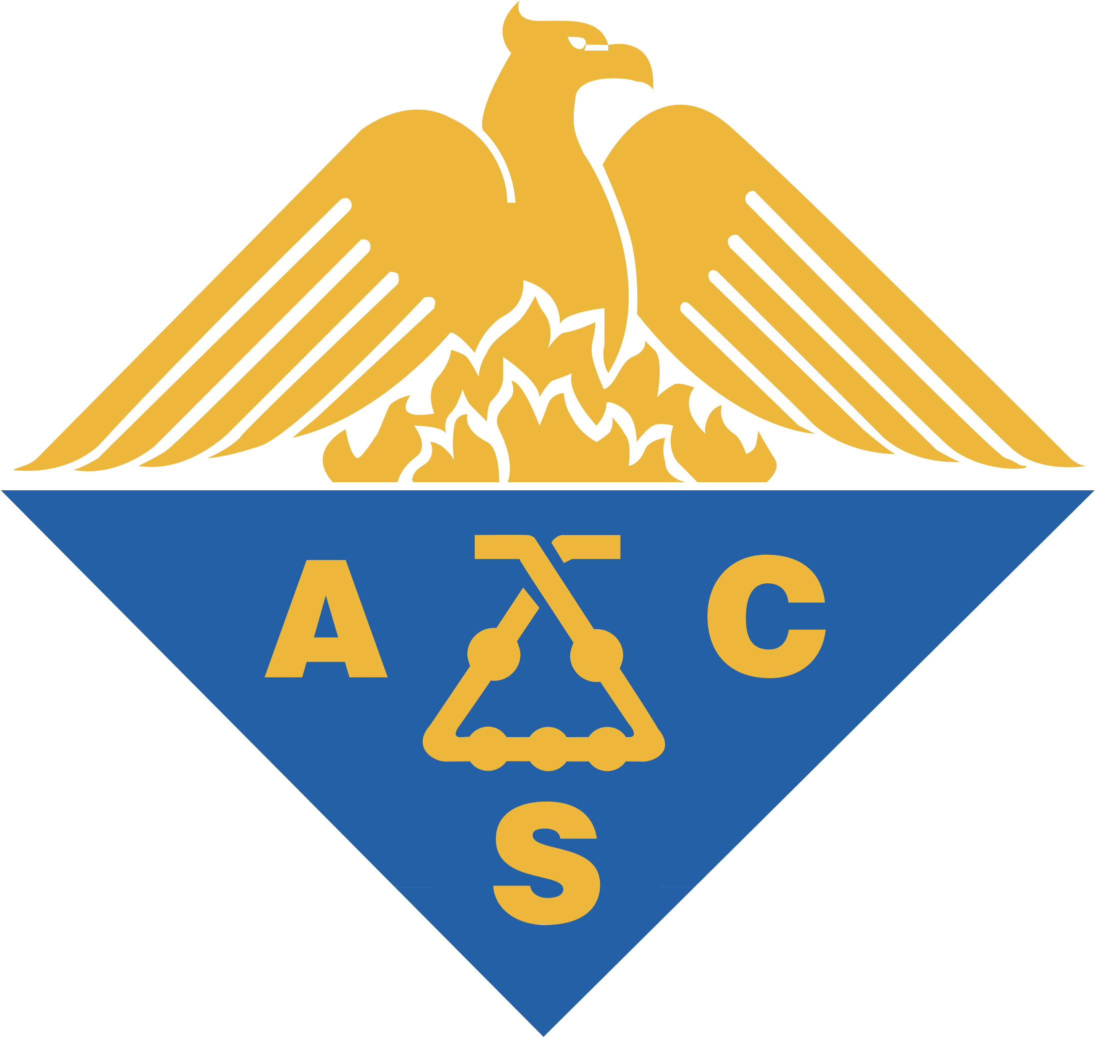 Acs Logo Png Transparent - American Chemical Society (2400x2400), Png Download