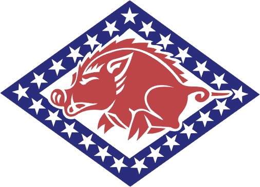 Emblem Of The Arkansas National Guard - Arkansas National Guard Patch (506x365), Png Download
