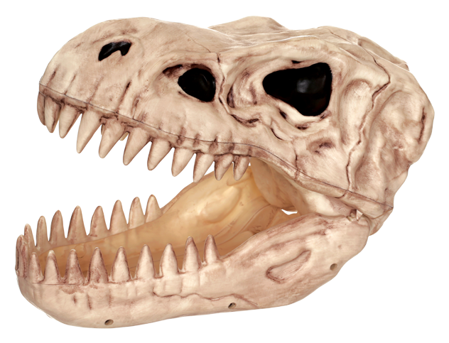 T-rex - Crazy Bonez T-rex Candy Bowl For Halloween Decoration (650x494), Png Download