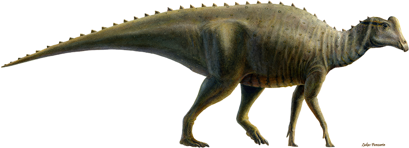 Full Panzarin - Dinosaur . (842x312), Png Download