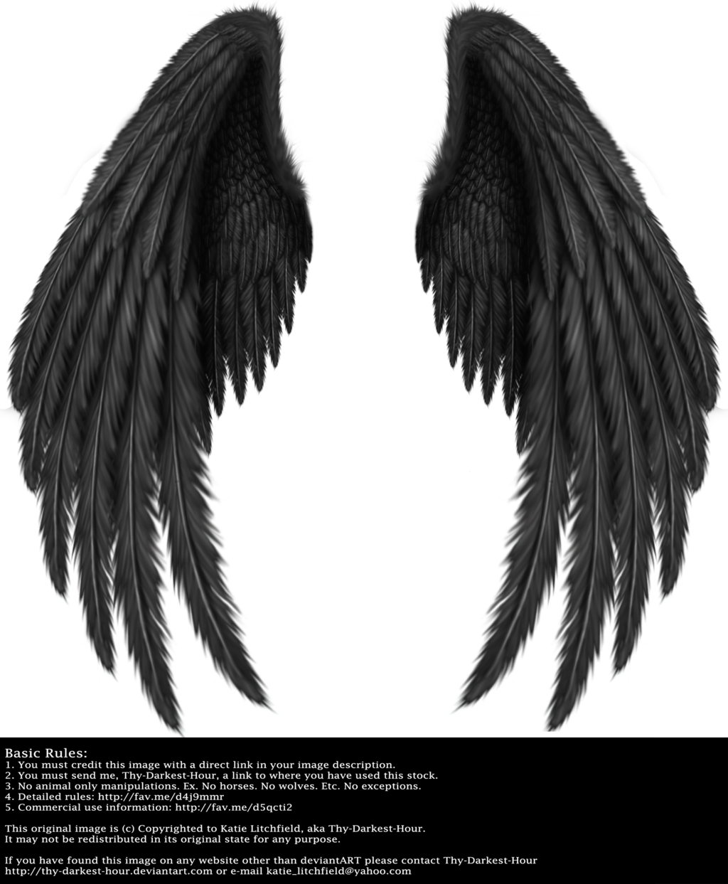 Winged Fantasy V 2 Black By Thy Darkest Hour - Angel Of Death Wings (1024x1243), Png Download