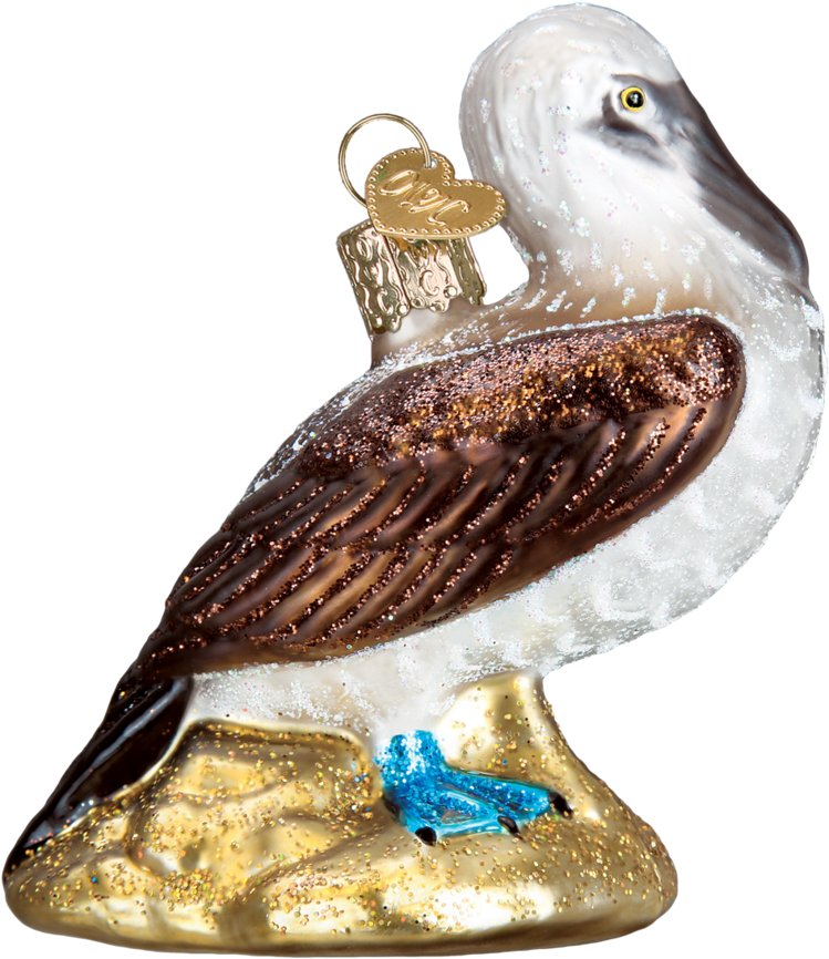 Old World Christmas Blue Footed Booby Glass Blown Ornament (950x950), Png Download