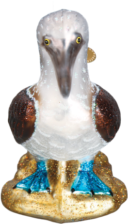 Blue Footed Booby Bird Glass Christmas Ornaments - Old World Christmas Blue Footed Booby Glass Blown Ornament (480x480), Png Download