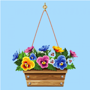 Pansy-blumen-kasten Quadratische Wanduhr (600x315), Png Download