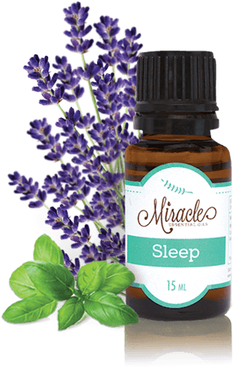 Lavender Essential Oil - Miracle Essential Oils (516x553), Png Download