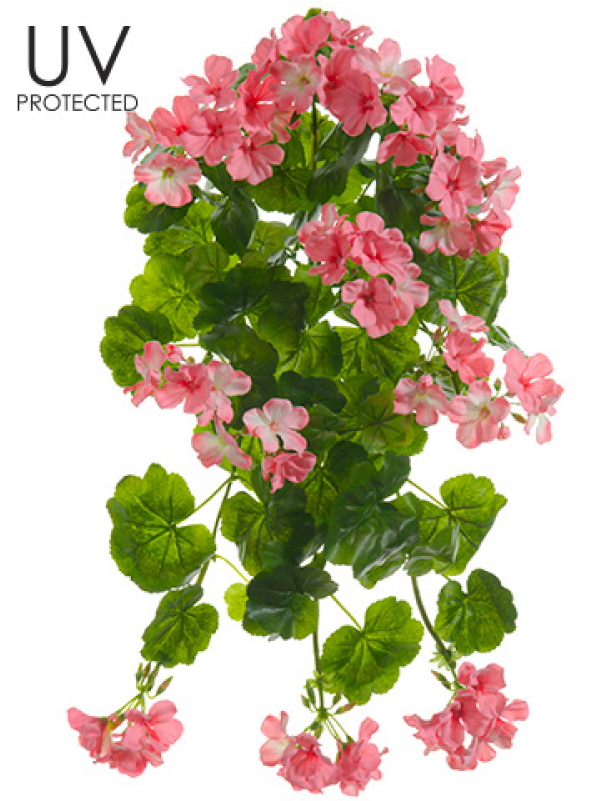 21" Uv Protected Geranium Hanging Bush Pink - Allstate Floral & Craft Uv Protected Outdoor Silk (800x800), Png Download