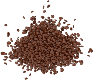 Free Png Coffee Beans Png Images Transparent - Coffee Beans Png (480x480), Png Download