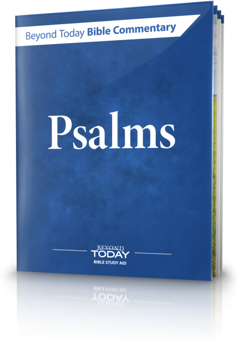 Bible (460x672), Png Download