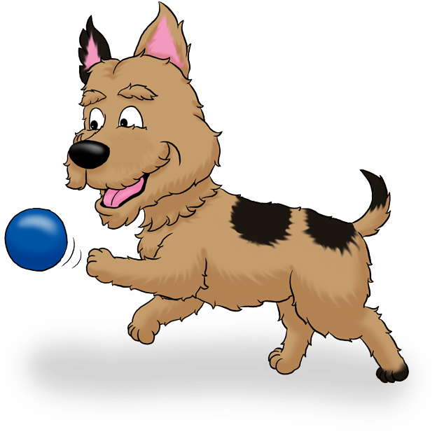 Purina Kit & Kaboodle Dry Cat Food (800x640), Png Download