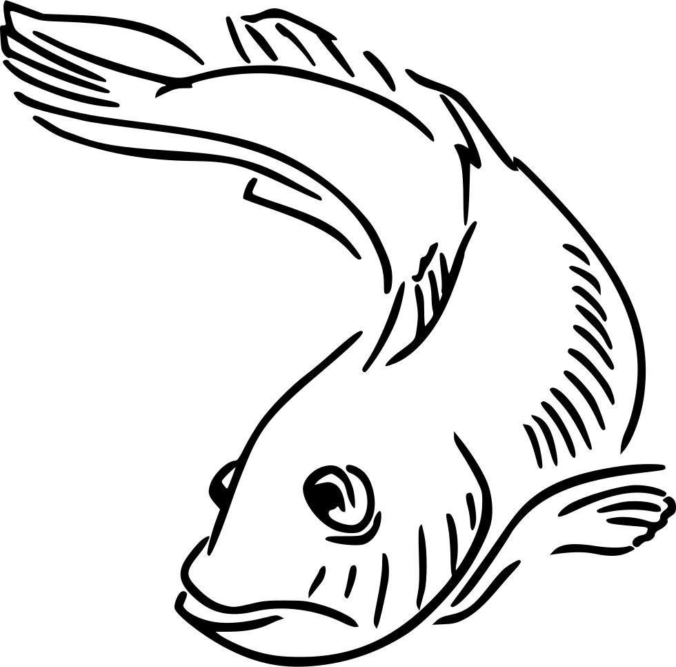 Fish Comments - Icon (980x966), Png Download