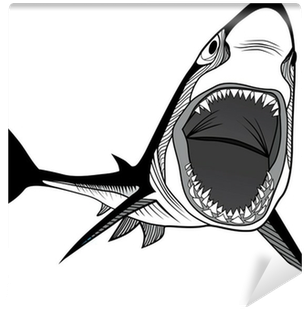 Shark (400x400), Png Download