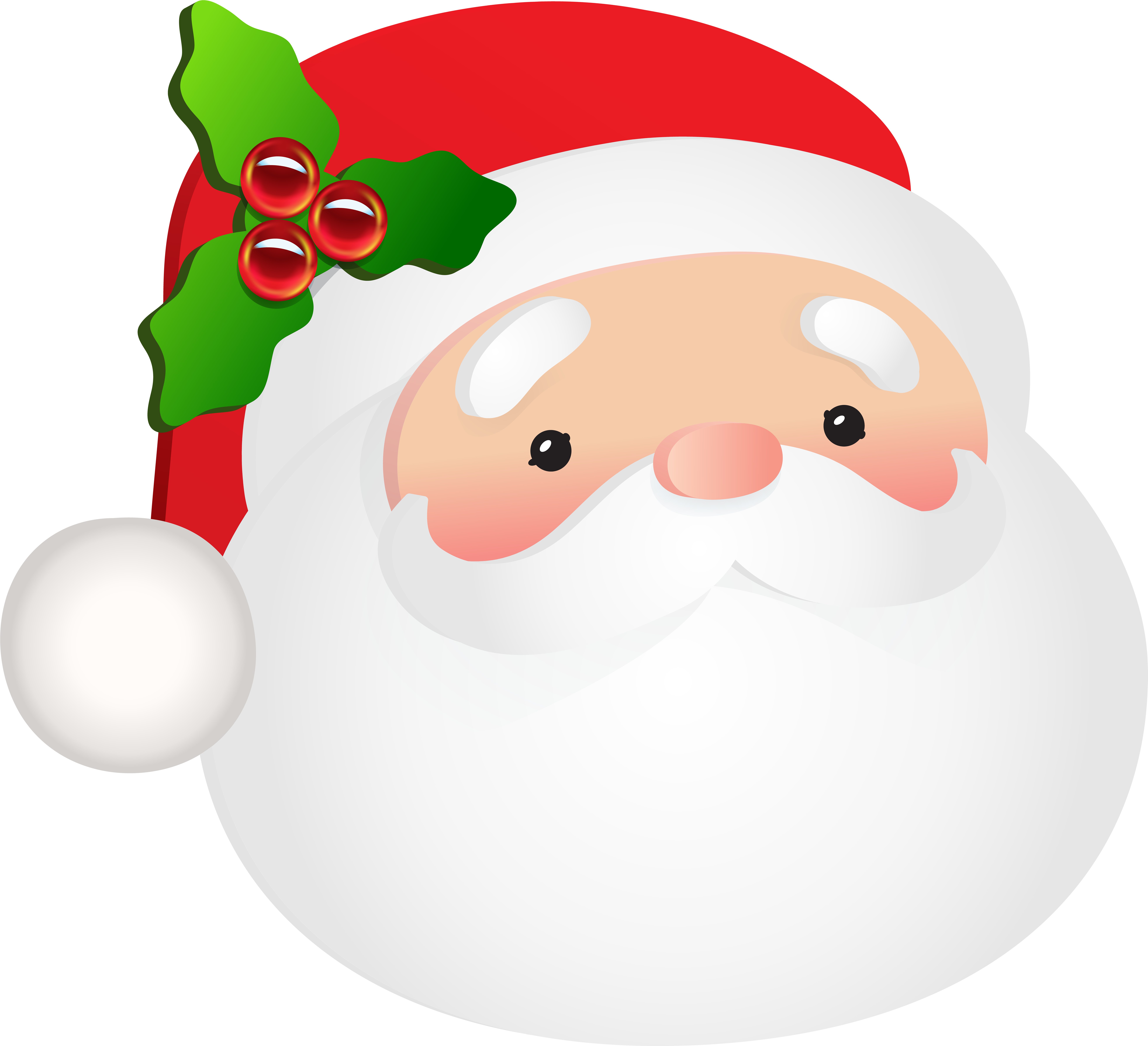 Santa Head Png (8000x7234), Png Download
