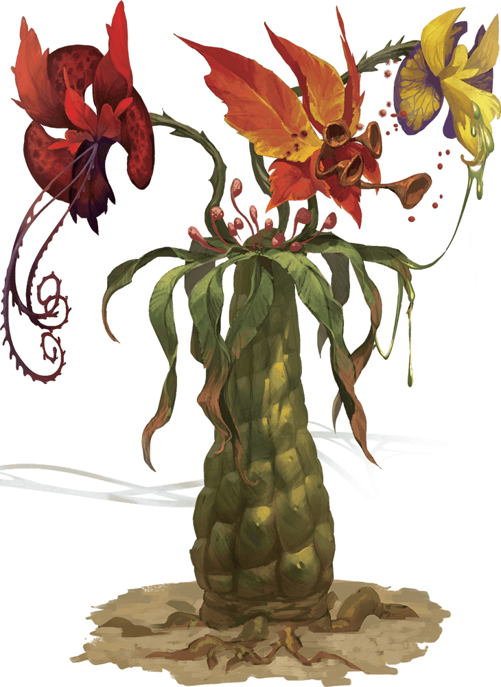 1/2 - Tomb Of Annihilation Monsters (730x1000), Png Download