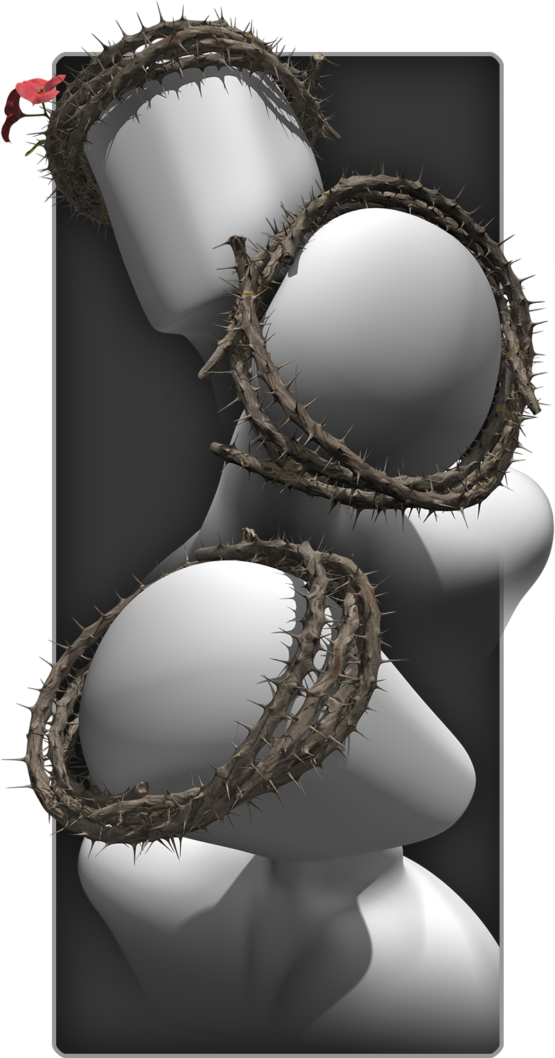 The (800x1600), Png Download