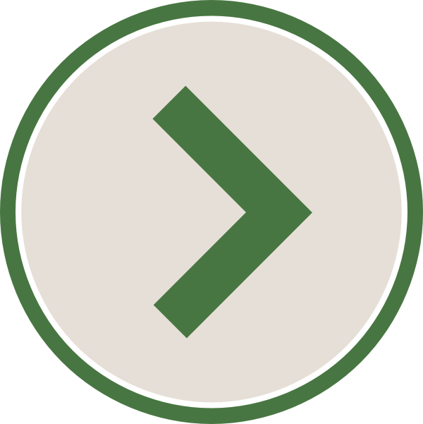 Next Blue & Light Braun Clipart - Next Icon Png Green (600x601), Png Download
